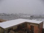 IMG_3808.jpg