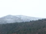 IMG_0824.jpg