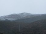 IMG_0825.jpg