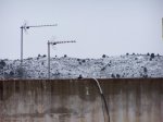 100_6017.jpg