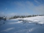 IMG_0221 (Large).JPG