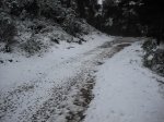 DSCF0106.jpg