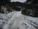 DSCF0105.jpg