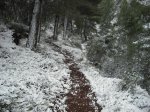 DSCF0103.jpg