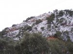 100_6021.jpg