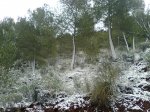 Imagen0065.jpg
