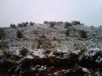 2010-01-08 11.21.32.jpg