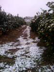 2010-01-08 11.09.46.jpg