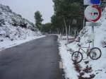 todo nieve (Large).jpg