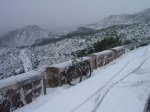 vista (Large).jpg