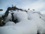 DSCN3641 [800x600].JPG