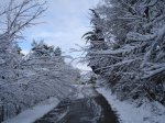 DSC00298.jpg