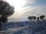 DSC00322.jpg