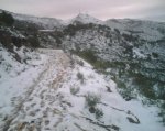 IMG00139.jpg