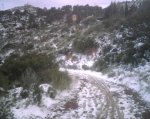 IMG00141.jpg