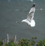 _MG_7700peque.jpg