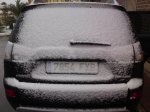 nieve 8-1-10.jpg