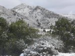 nieve 8-1-10 (3).jpg