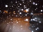 Foto6.JPG