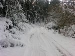 P1640_09-01-10.jpg