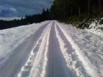 P1658_09-01-10.jpg
