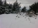 P1709_09-01-10.jpg