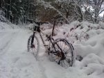 P1639_09-01-10.jpg