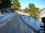 nieve en gentiscle 001.jpg