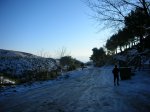 nieve en gentiscle 007.jpg