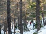 IMG_6849.jpg