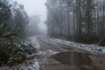 DSC02723.JPG