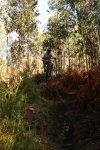 DSC02883.JPG