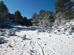 IMG_6877.jpg