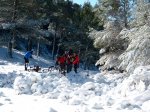 IMG_6883.jpg