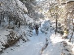IMG_6900.jpg