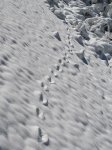 IMG_6884.jpg