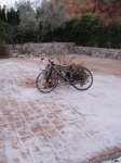 DSC01535.JPG
