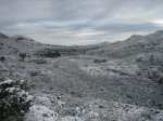 un dia en la nieve 10-01-10 006.jpg