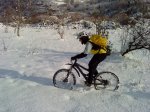 DSC00493.jpg