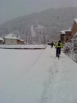 DSC00502.jpg