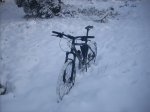 DSCN1246.jpg
