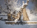 DSCN1248.jpg