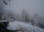 DSC04955.jpg