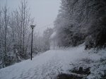 DSC04954.jpg