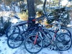DSC00846.JPG