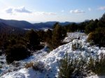 DSC00876.JPG