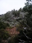 P1010014.jpg