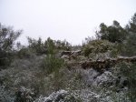 P1010003.jpg