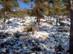 DSC00893.JPG