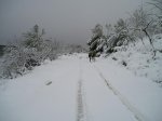 P1010028.jpg